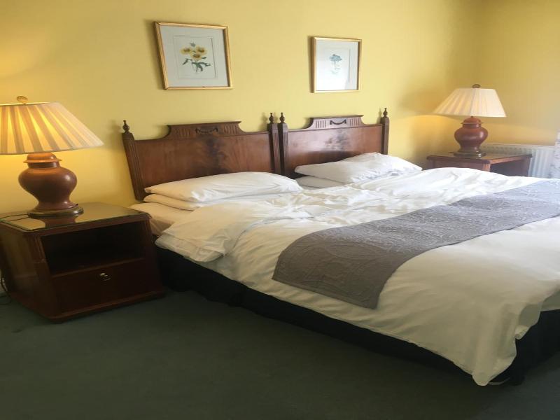 Dukes Head Inn image