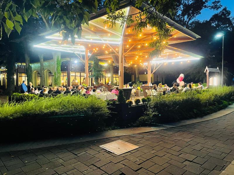 Villa Hotel image