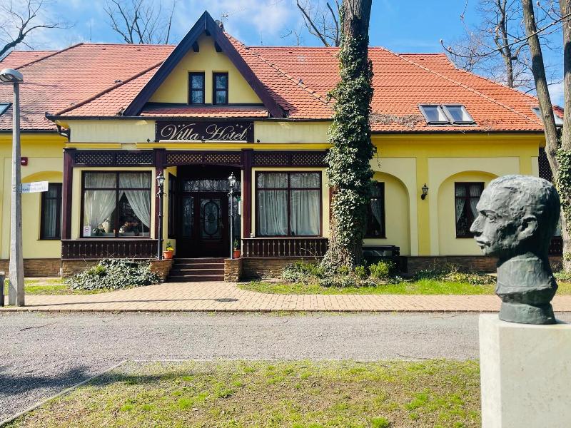 Villa Hotel image