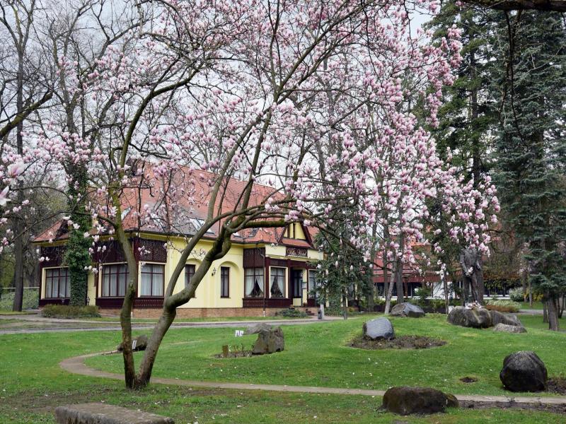 Villa Hotel image