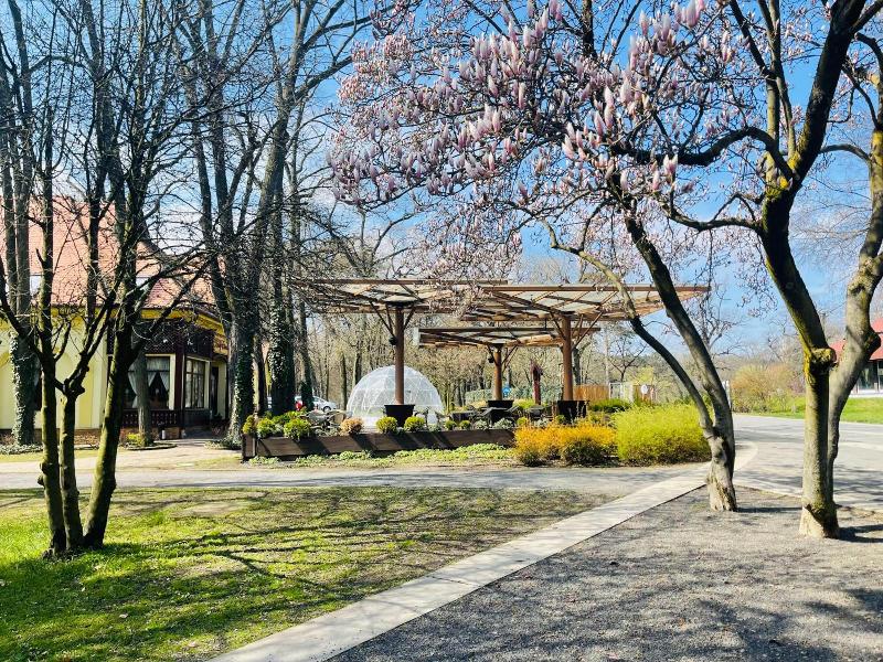 Villa Hotel image