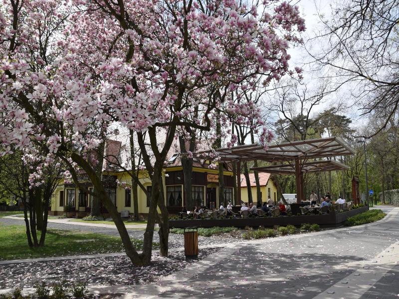 Villa Hotel image