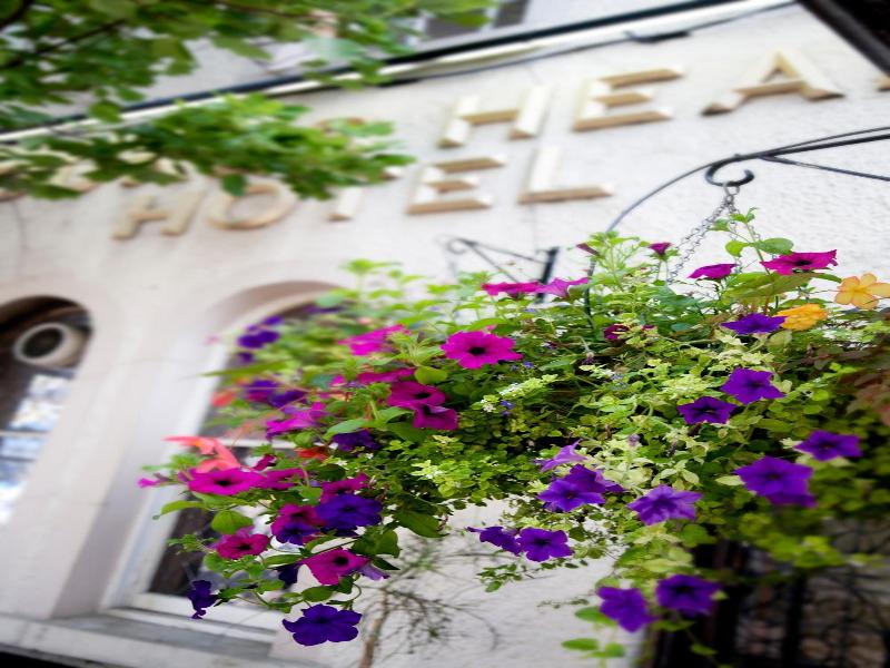 Dukes Head Hotel image