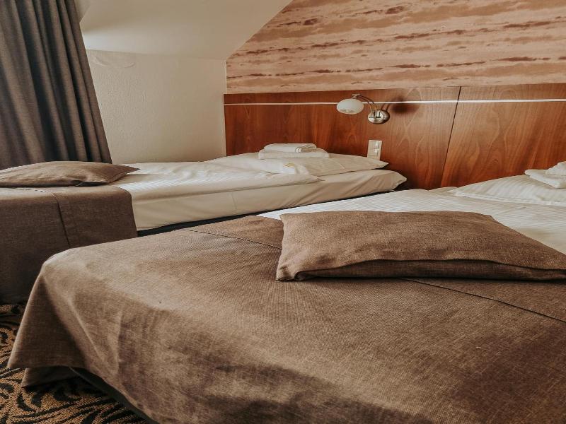 Hotel Azyl image