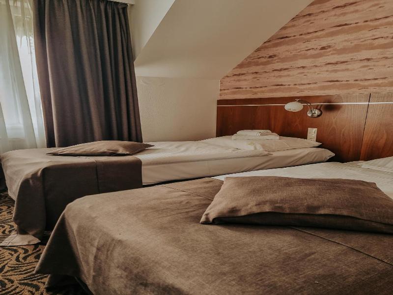 Hotel Azyl image