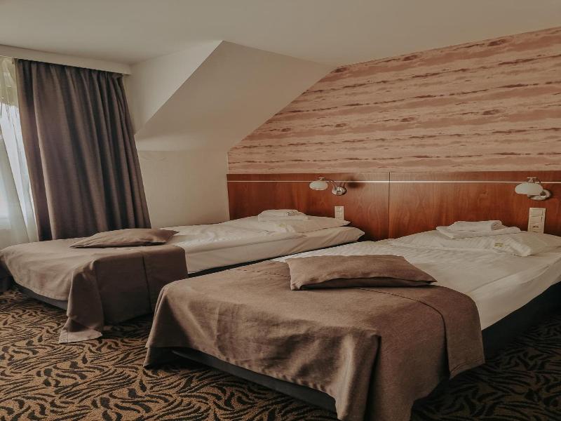 Hotel Azyl image