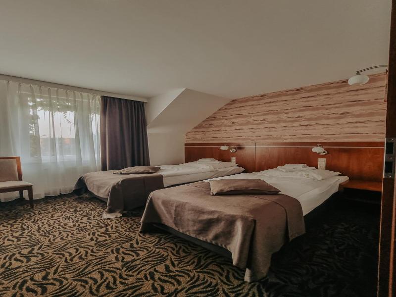 Hotel Azyl image