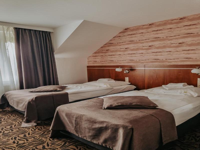 Hotel Azyl image