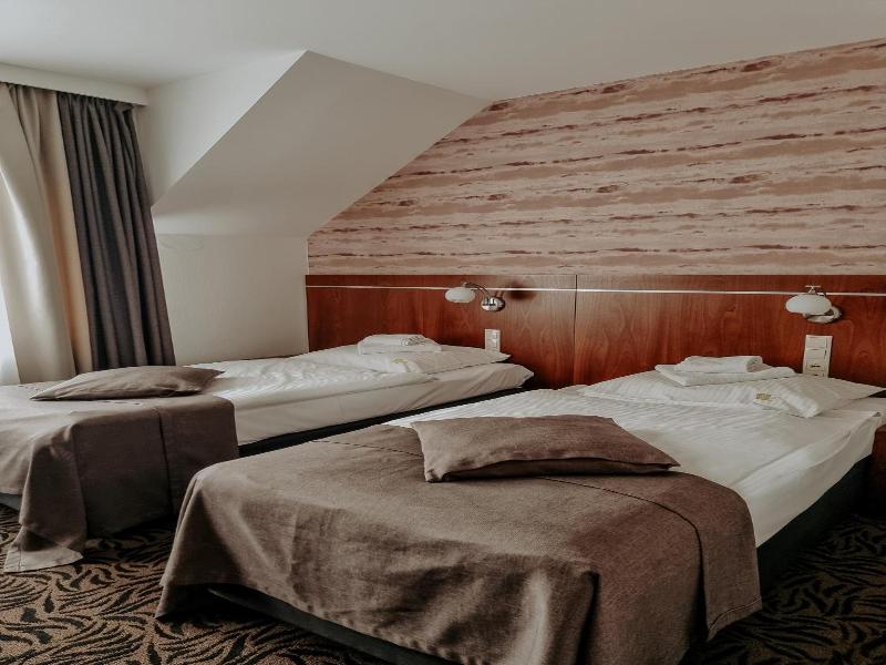 Hotel Azyl image