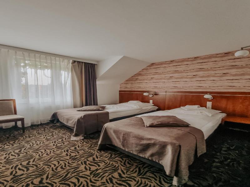 Hotel Azyl image