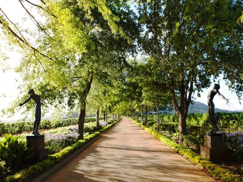 Delaire Graff Lodges And Spa image