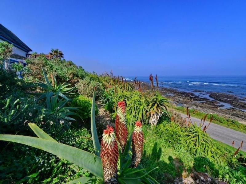 Casa Seaviews image