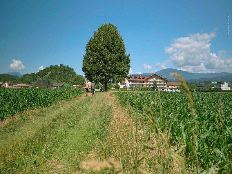 Hotel Pachernighof image