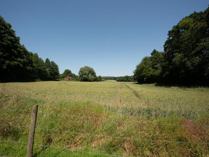 The Withies Inn image