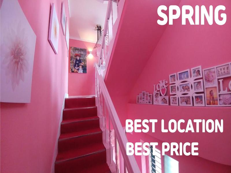 Spring Light image