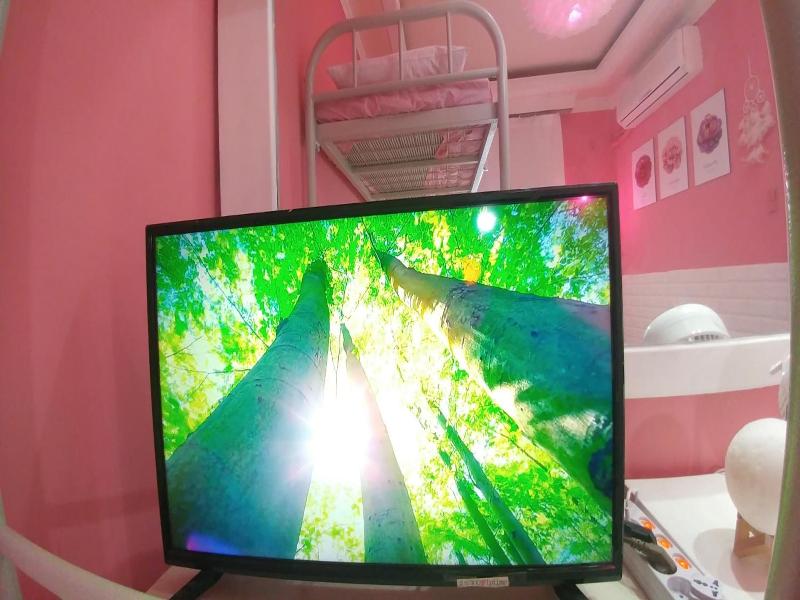 Spring Light image