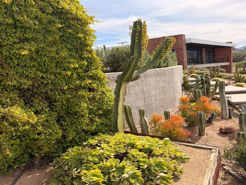 Hotel Otero Valle De Guadalupe image