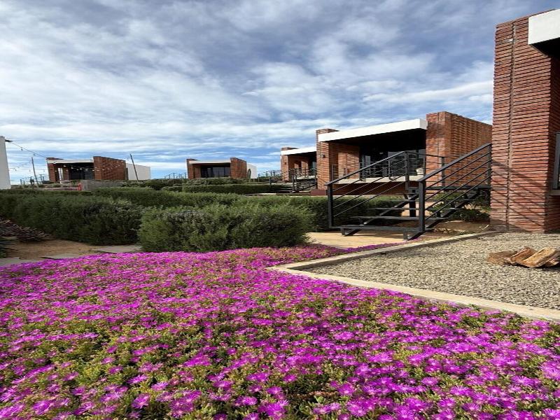 Hotel Otero Valle De Guadalupe image