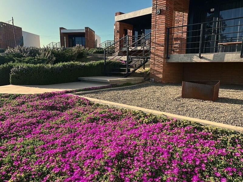 Hotel Otero Valle De Guadalupe image