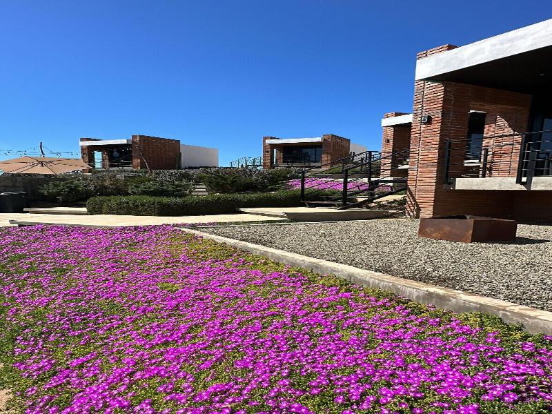 Hotel Otero Valle De Guadalupe image