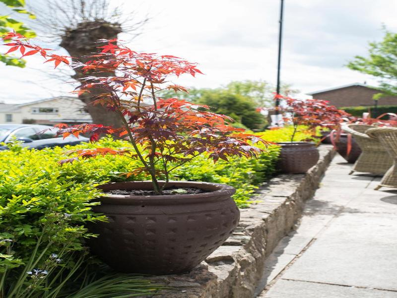 "the Beaufort, Raglan" image