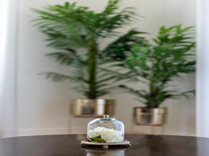 Templo Boutique Hotel image