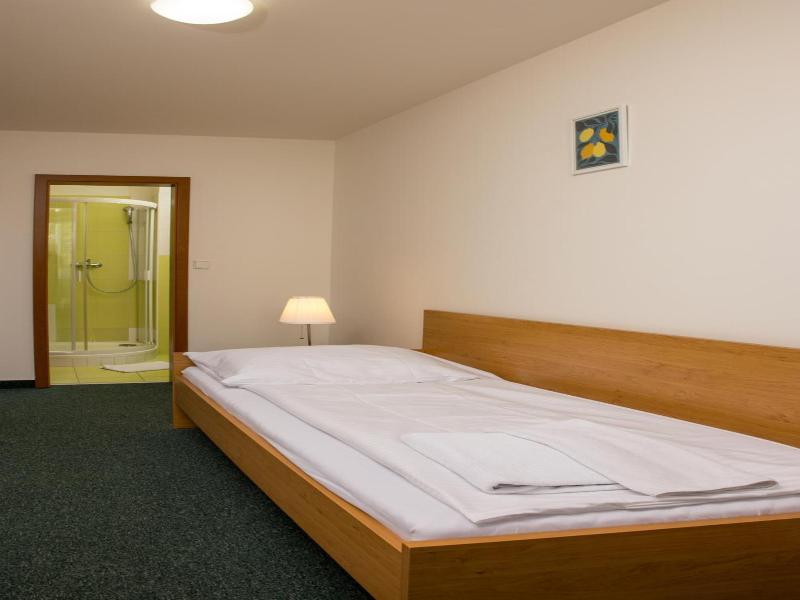 Hotel Kanarek image