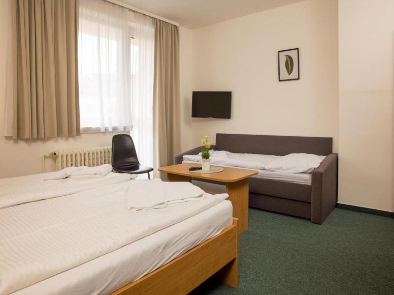 Hotel Kanarek image