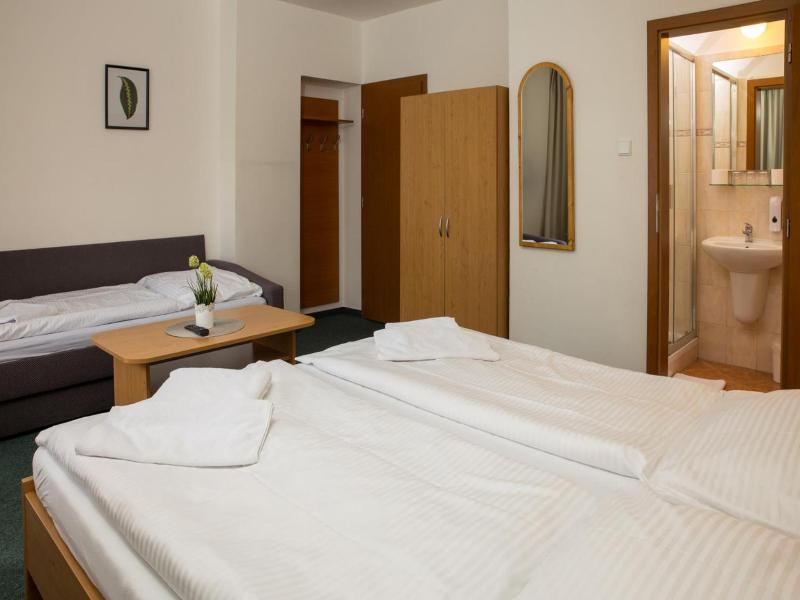 Hotel Kanarek image