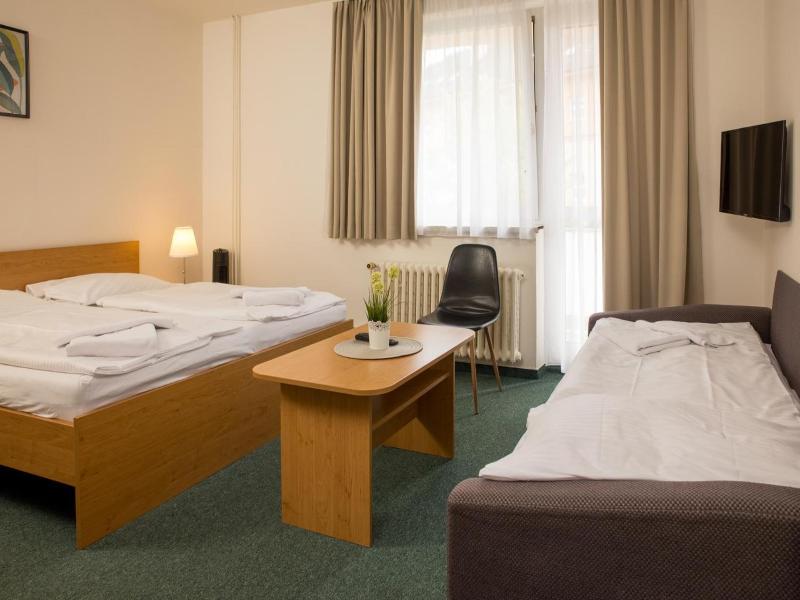 Hotel Kanarek image