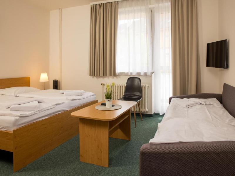 Hotel Kanarek image
