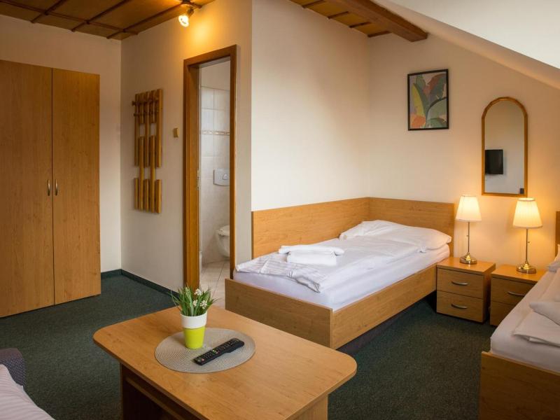 Hotel Kanarek image