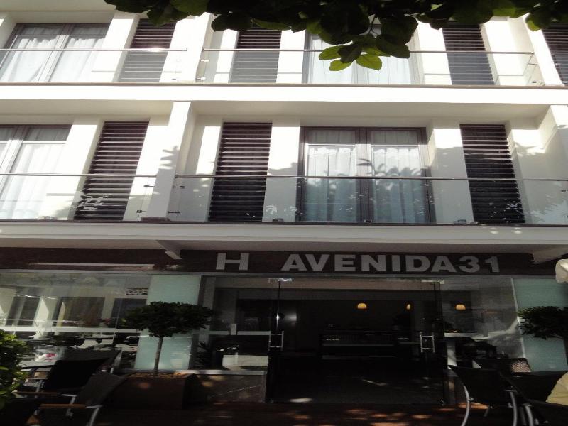 Hotel Avenida 31 image