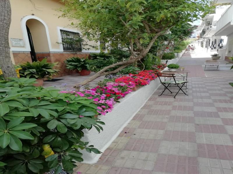 Hotel Avenida 31 image