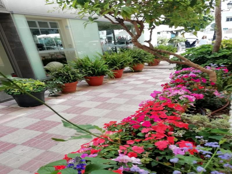 Hotel Avenida 31 image
