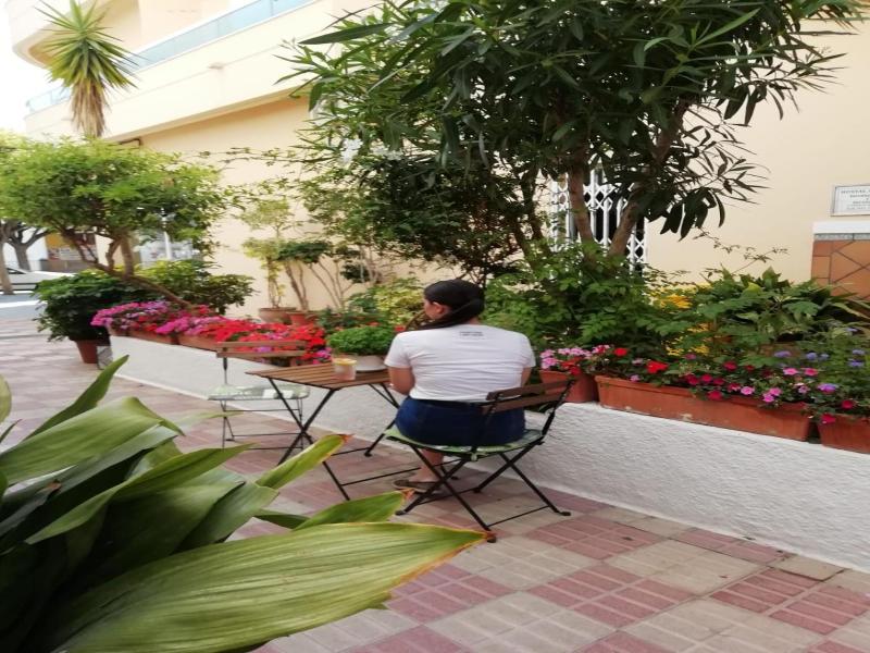 Hotel Avenida 31 image