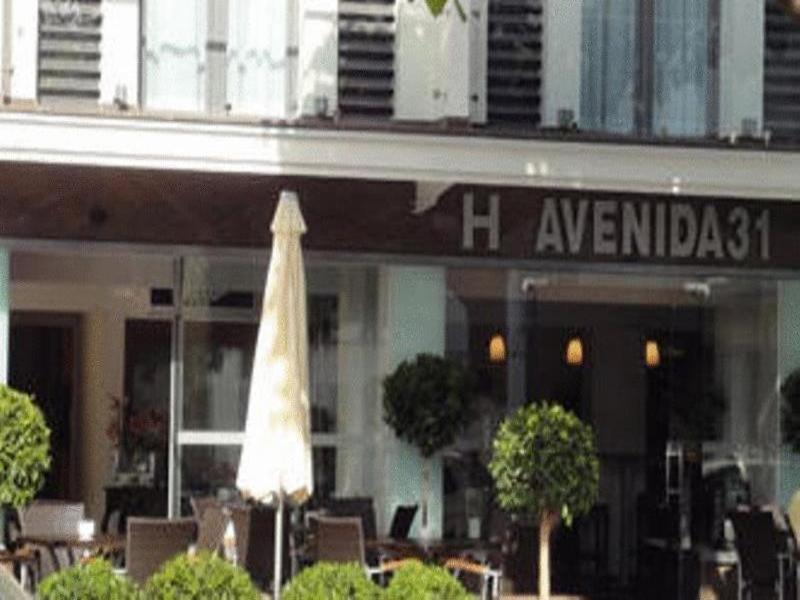 Hotel Avenida 31 image