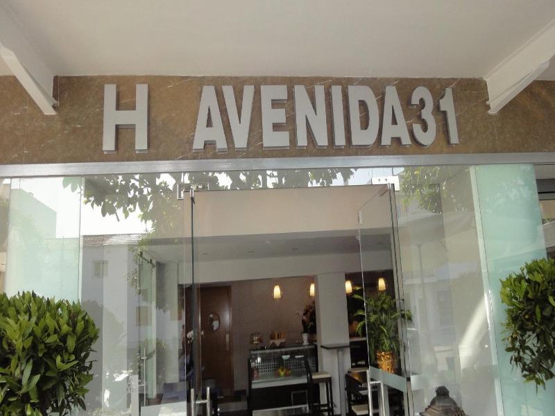 Hotel Avenida 31 image