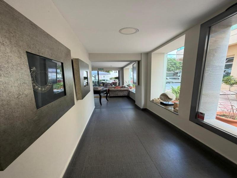 Hotel Avenida 31 image