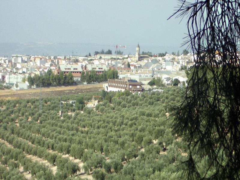 Hotel La Zambra image