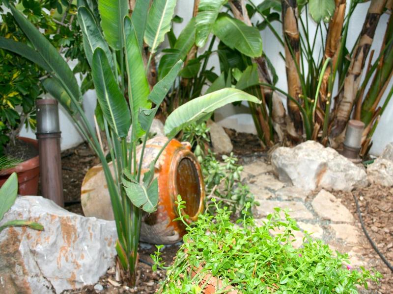 El Pinche De Oro image