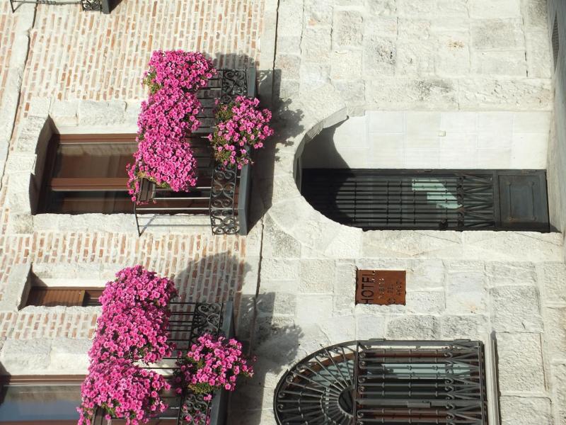 Hotel Puerta Del Arco image