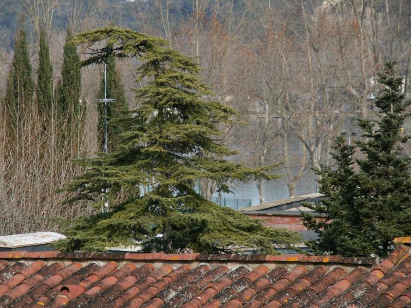 Hotel L'ast image