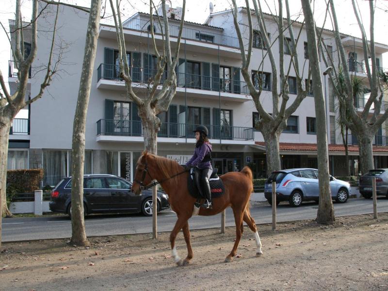Hotel L'ast image