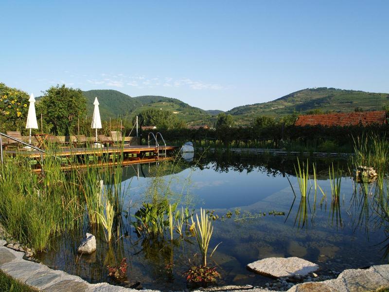 Ad Vineas Gästehaus Nikolaihof-hotel Garni image