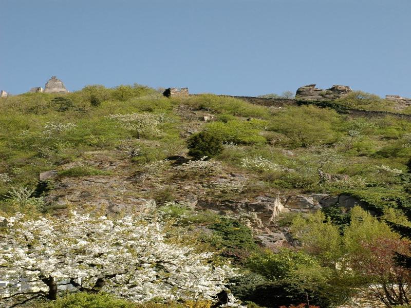 Ad Vineas Gästehaus Nikolaihof-hotel Garni image