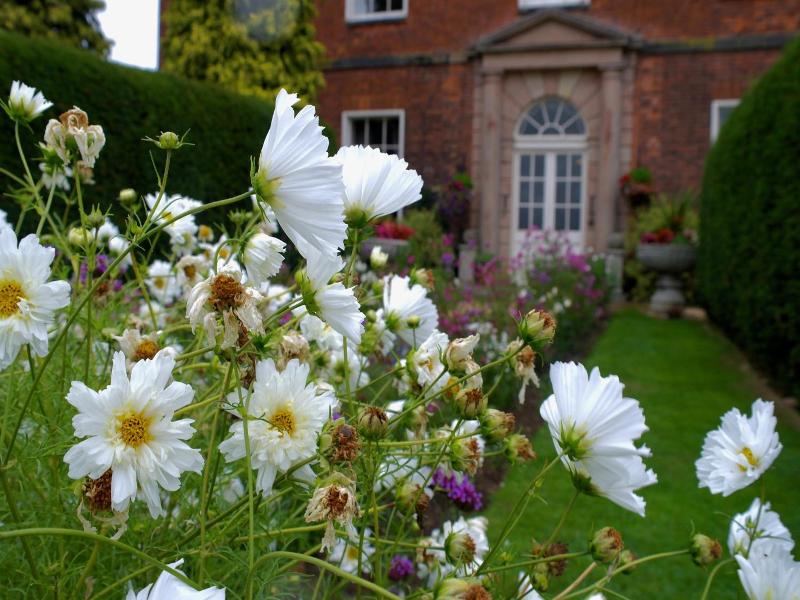Dovecliff Hall Hotel image