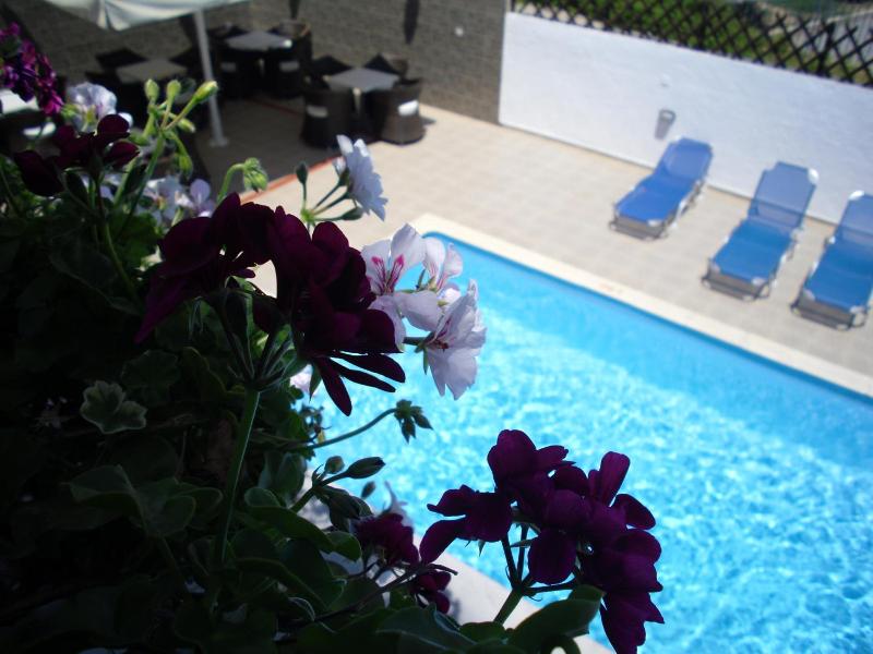 Ifigenia Hotel image
