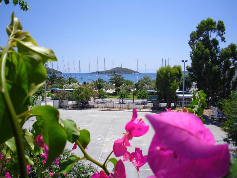 Ifigenia Hotel image