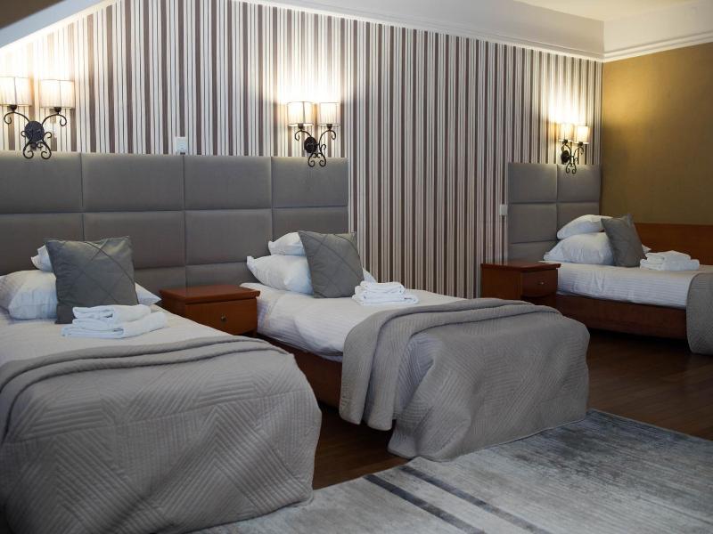 Hotel Wenecki image